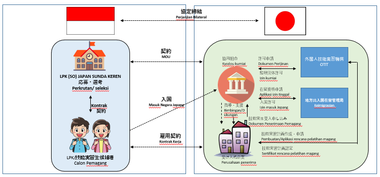 Alur Sistem Pemagangan